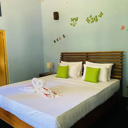 Sigiri Siesta Homestay Сигирия Экстерьер фото