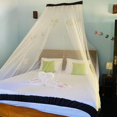 Sigiri Siesta Homestay Сигирия Экстерьер фото