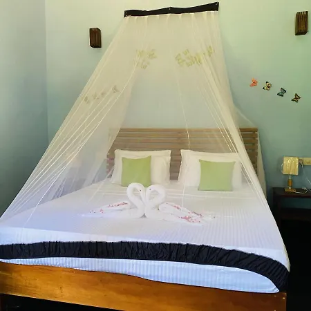 Sigiri Siesta Homestay Сигирия Экстерьер фото